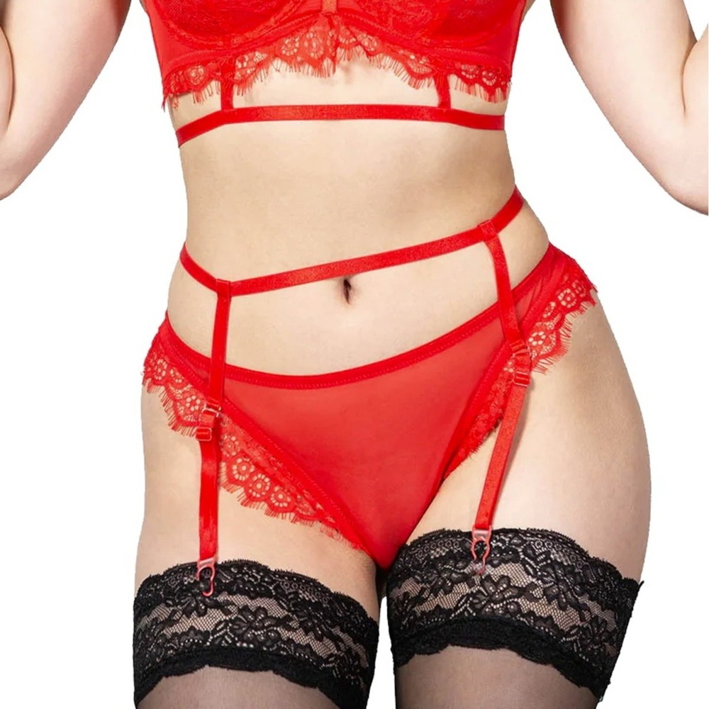 Killstar bound eloquence red lace mesh panty pinup goth burlesque lingerie